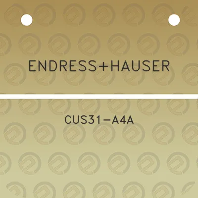 endresshauser-cus31-a4a