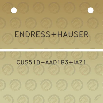 endresshauser-cus51d-aad1b3iaz1