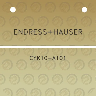 endresshauser-cyk10-a101