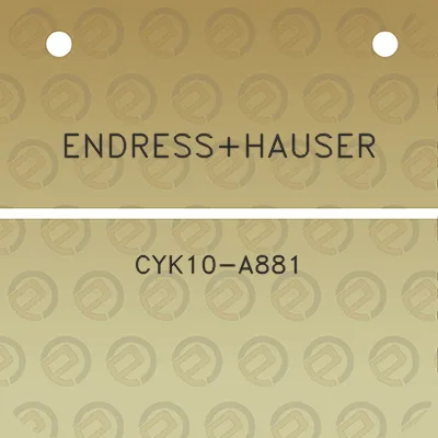 endresshauser-cyk10-a881