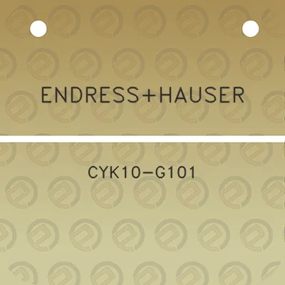 endresshauser-cyk10-g101