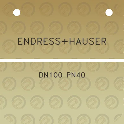 endresshauser-dn100-pn40