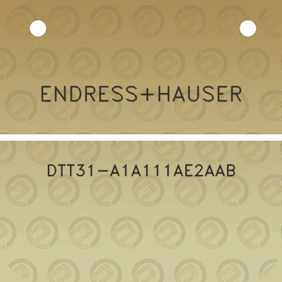 endresshauser-dtt31-a1a111ae2aab