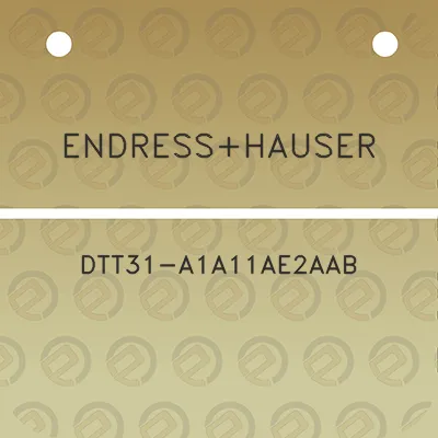 endresshauser-dtt31-a1a11ae2aab