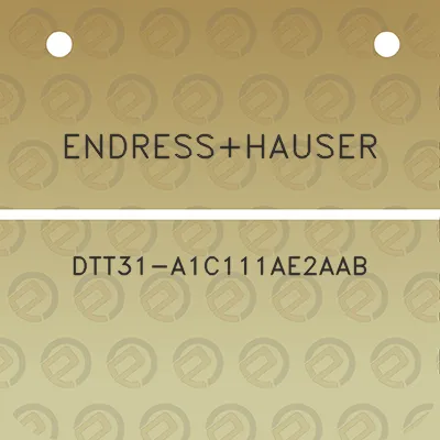 endresshauser-dtt31-a1c111ae2aab