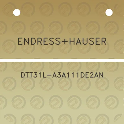 endresshauser-dtt31l-a3a111de2an