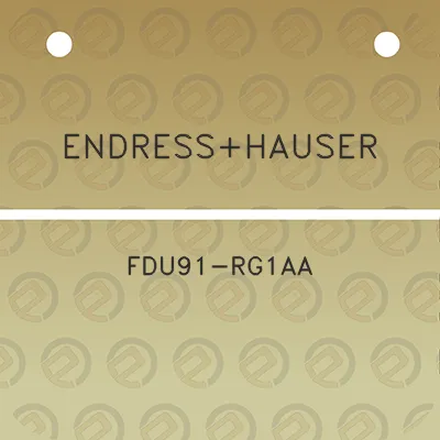 endresshauser-fdu91-rg1aa