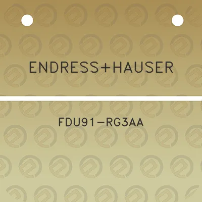 endresshauser-fdu91-rg3aa