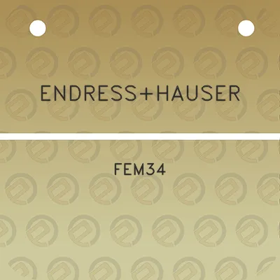 endresshauser-fem34