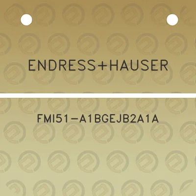 endresshauser-fmi51-a1bgejb2a1a