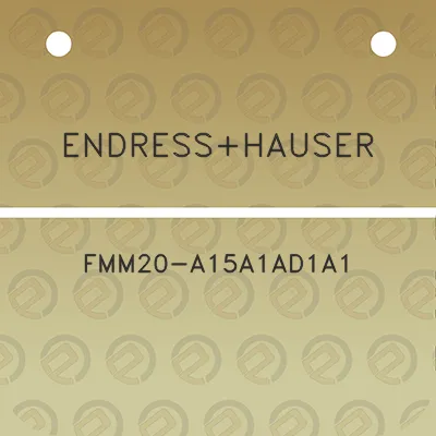 endresshauser-fmm20-a15a1ad1a1