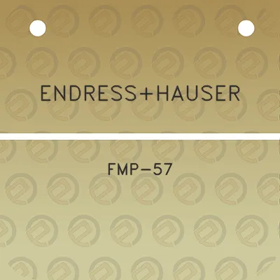 endresshauser-fmp-57