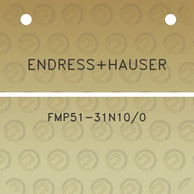 endresshauser-fmp51-31n100