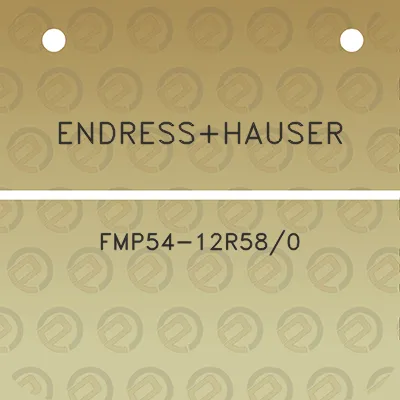 endresshauser-fmp54-12r580