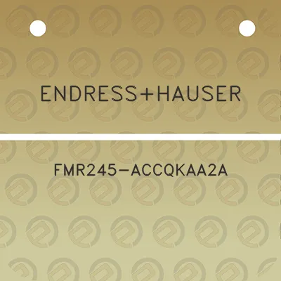 endresshauser-fmr245-accqkaa2a