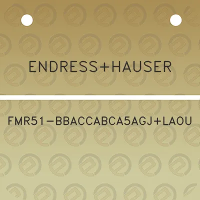 endresshauser-fmr51-bbaccabca5agjlaou