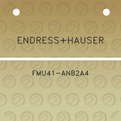 endresshauser-fmu41-anb2a4