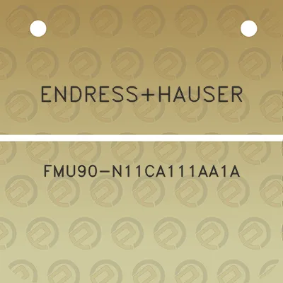 endresshauser-fmu90-n11ca111aa1a