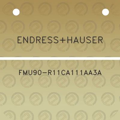 endresshauser-fmu90-r11ca111aa3a