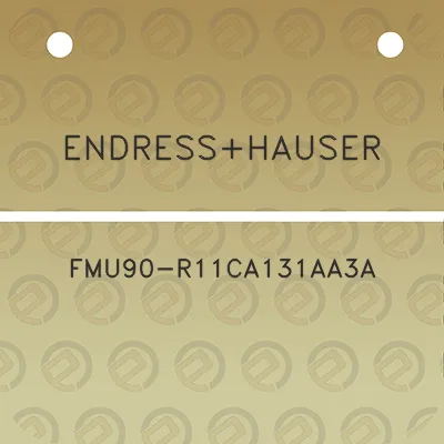 endresshauser-fmu90-r11ca131aa3a