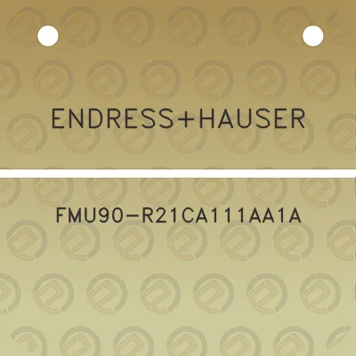 endresshauser-fmu90-r21ca111aa1a