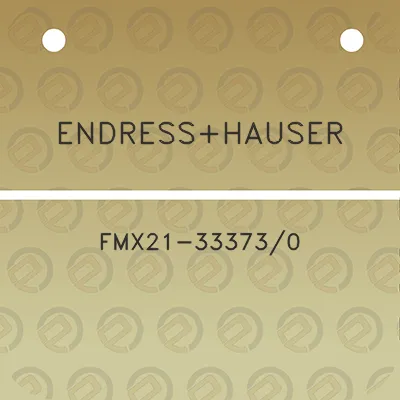 endresshauser-fmx21-333730