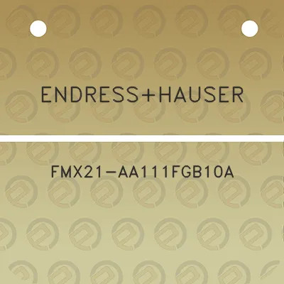 endresshauser-fmx21-aa111fgb10a