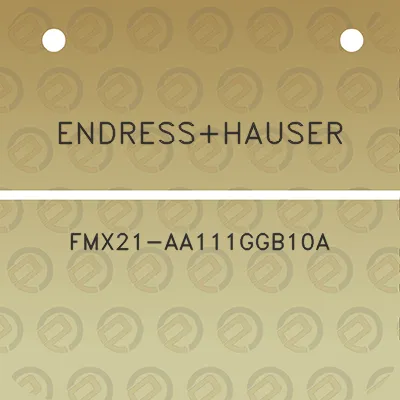 endresshauser-fmx21-aa111ggb10a