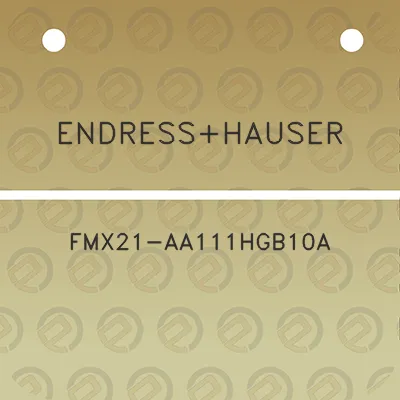 endresshauser-fmx21-aa111hgb10a