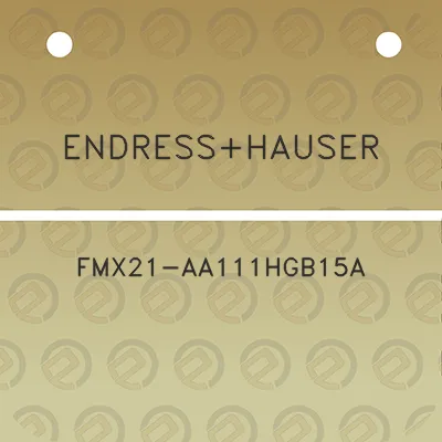 endresshauser-fmx21-aa111hgb15a