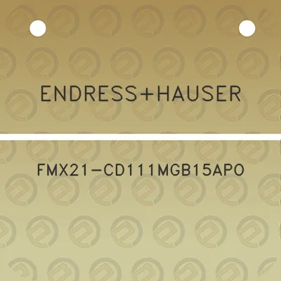 endresshauser-fmx21-cd111mgb15apo