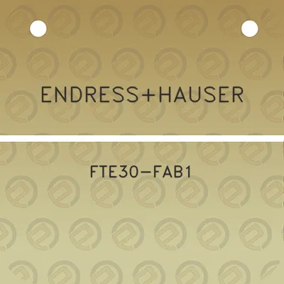 endresshauser-fte30-fab1