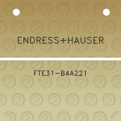 endresshauser-fte31-b4a221