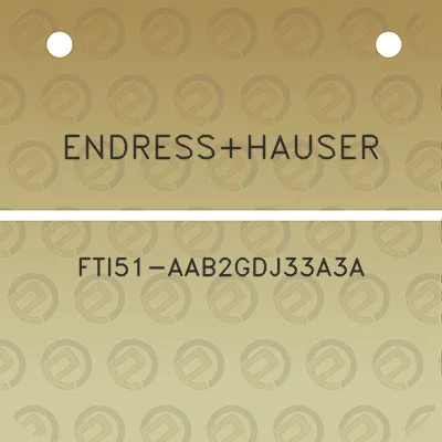 endresshauser-fti51-aab2gdj33a3a