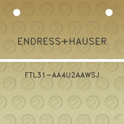 endresshauser-ftl31-aa4u2aawsj