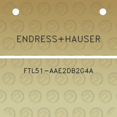 endresshauser-ftl51-aae2db2g4a