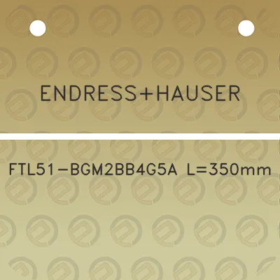 endresshauser-ftl51-bgm2bb4g5a-l350mm