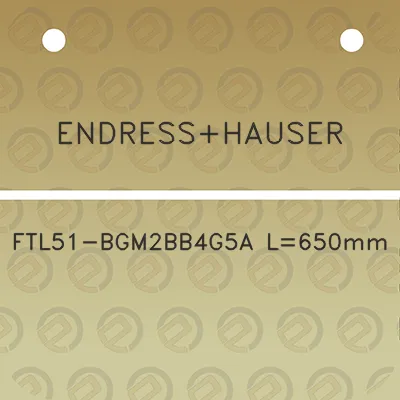 endresshauser-ftl51-bgm2bb4g5a-l650mm