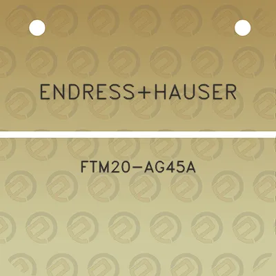 endresshauser-ftm20-ag45a