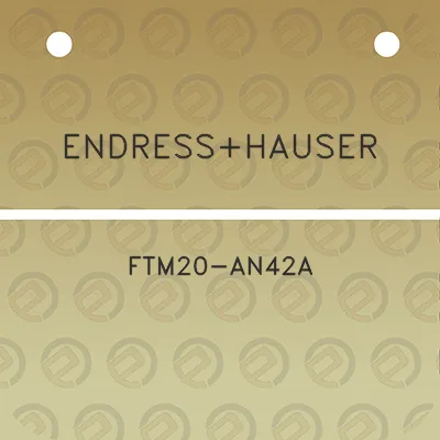 endresshauser-ftm20-an42a