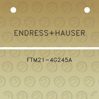 endresshauser-ftm21-4g245a