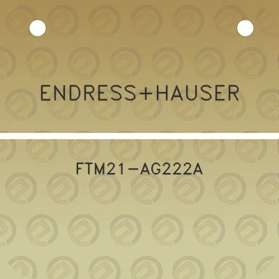 endresshauser-ftm21-ag222a