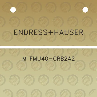 endresshauser-m-fmu40-grb2a2