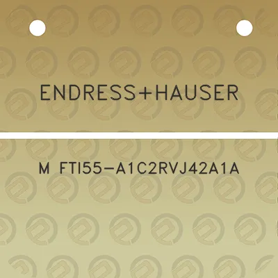 endresshauser-m-fti55-a1c2rvj42a1a