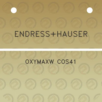 endresshauser-oxymaxw-cos41