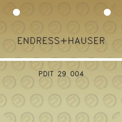 endresshauser-pdit-29-004