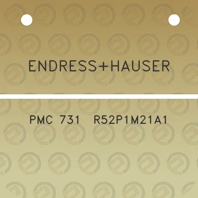 endresshauser-pmc-731-r52p1m21a1