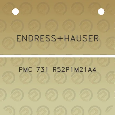 endresshauser-pmc-731-r52p1m21a4