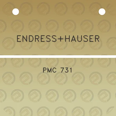 endresshauser-pmc-731