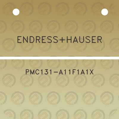 endresshauser-pmc131-a11f1a1x